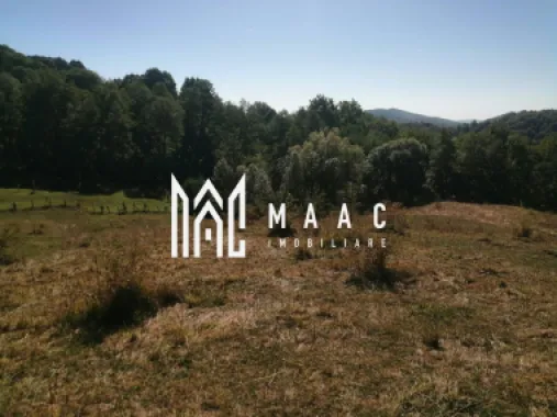 Teren Extravilan 20.000Mp I Stoenești -Vâlcea I Apă Curentă și Pădure