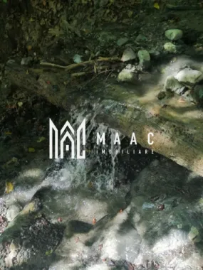 Teren Extravilan 20.000Mp I Stoenești -Vâlcea I Apă Curentă și Pădure