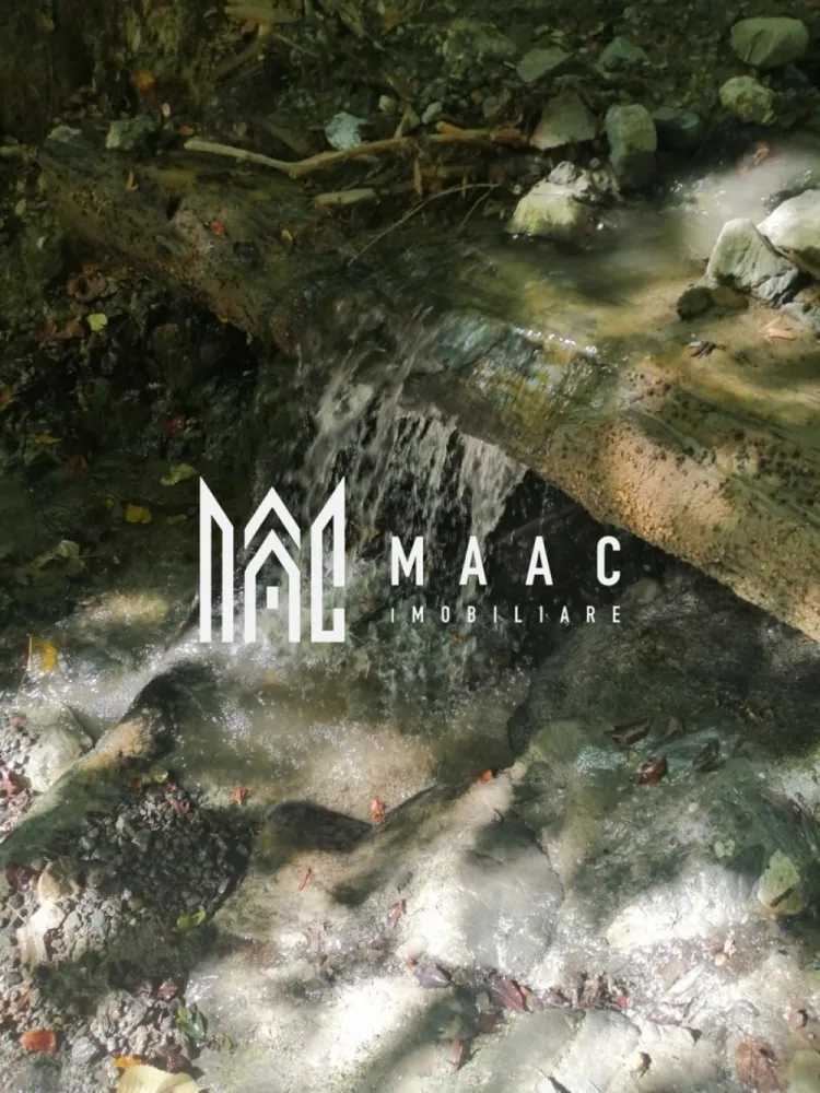 Teren Extravilan 20.000Mp I Stoenești -Vâlcea I Apă Curentă și Pădure