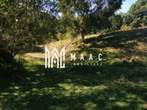 Teren Extravilan 20.000Mp I Stoenești -Vâlcea I Apă Curentă și Pădure