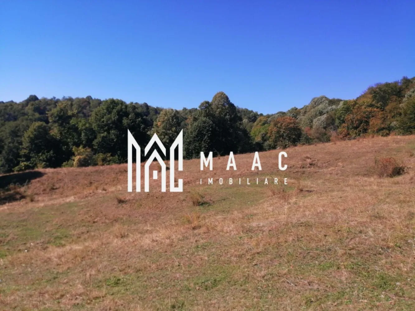 Teren Extravilan 20.000Mp I Stoenești -Vâlcea I Apă Curentă și Pădure