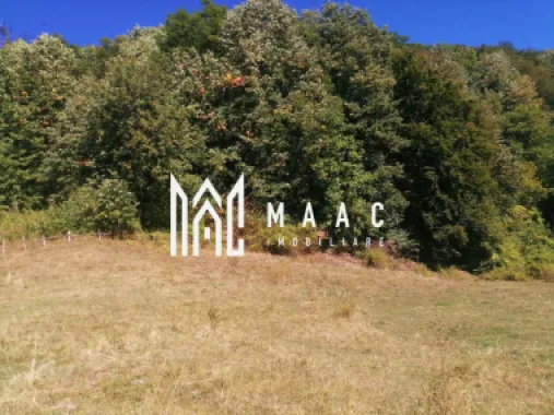 Teren Extravilan 20.000Mp I Stoenești -Vâlcea I Apă Curentă și Pădure