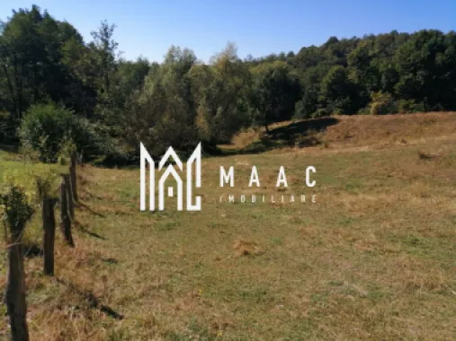 Teren Extravilan 20.000Mp I Stoenești -Vâlcea I Apă Curentă și Pădure