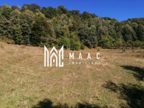 Teren Extravilan 20.000Mp I Stoenești -Vâlcea I Apă Curentă și Pădure