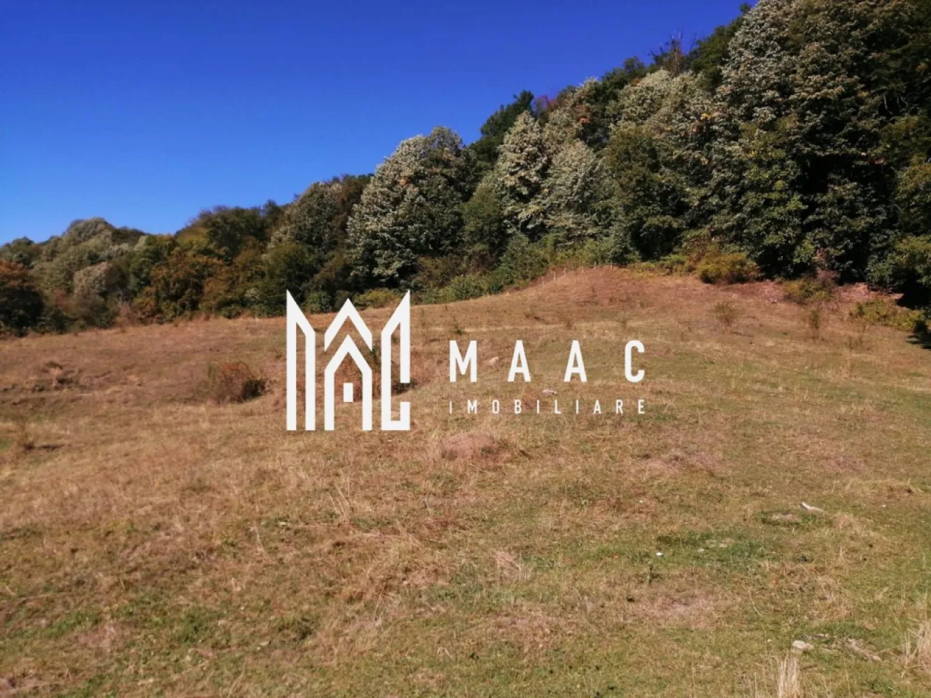 Teren Extravilan 20.000Mp I Stoenești -Vâlcea I Apă Curentă și Pădure