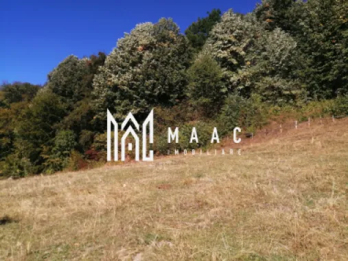 Teren Extravilan 20.000Mp I Stoenești -Vâlcea I Apă Curentă și Pădure