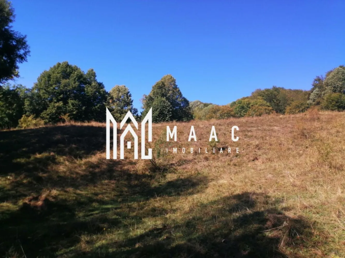 Teren Extravilan 20.000Mp I Stoenești -Vâlcea I Apă Curentă și Pădure