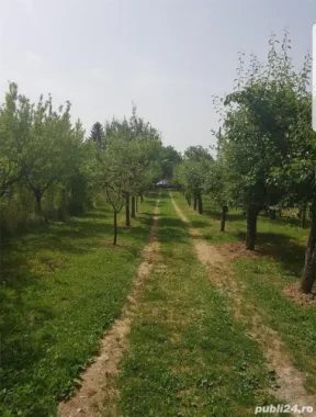 Vand schimb casa, teren Viile Satu Mare cu apartament, casa cu si fara diferenta