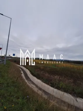 Teren | Extravilan | 4.720 Mp | Selimbar