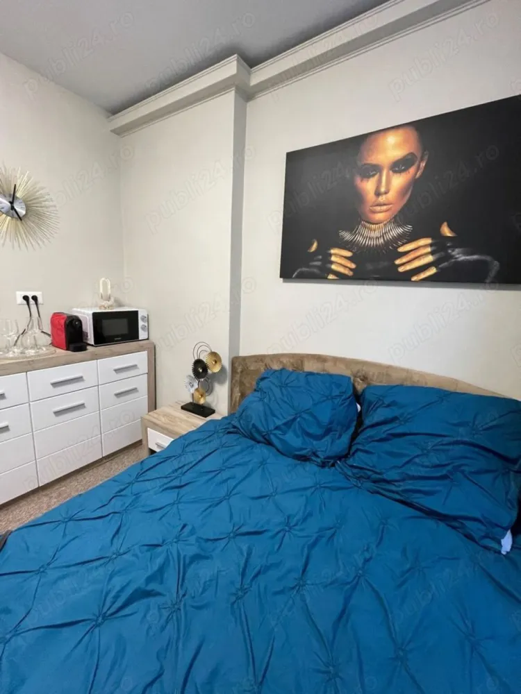BRASADAS inchiriaza in REGIM HOTELIER Pta Romana