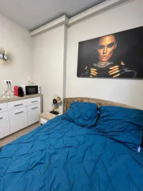 BRASADAS inchiriaza in REGIM HOTELIER Pta Romana