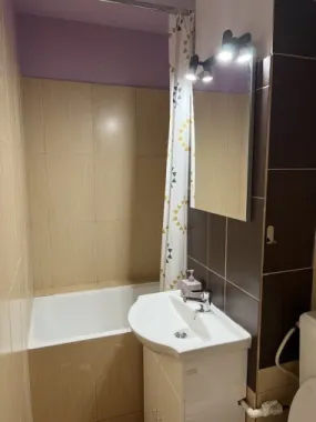 Cismigiu, Sala Palatului