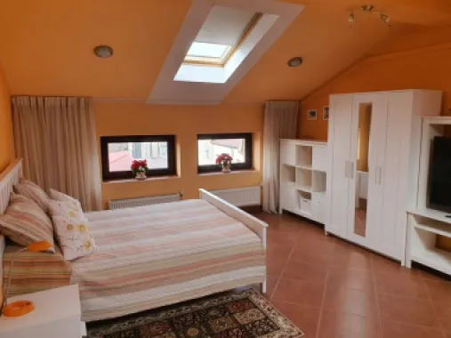 BRASADAS închiriază ap 2 cam la MANSARDA zona Dorobanti.