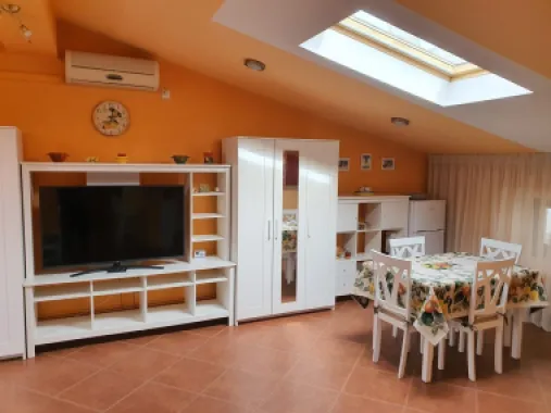 BRASADAS închiriază ap 2 cam la MANSARDA zona Dorobanti.