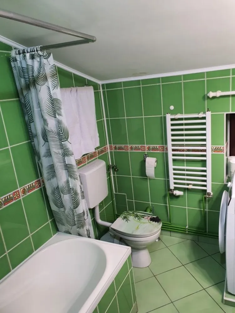 BRASADAS închiriază ap 2 cam la MANSARDA zona Dorobanti.