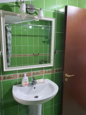 BRASADAS închiriază ap 2 cam la MANSARDA zona Dorobanti.