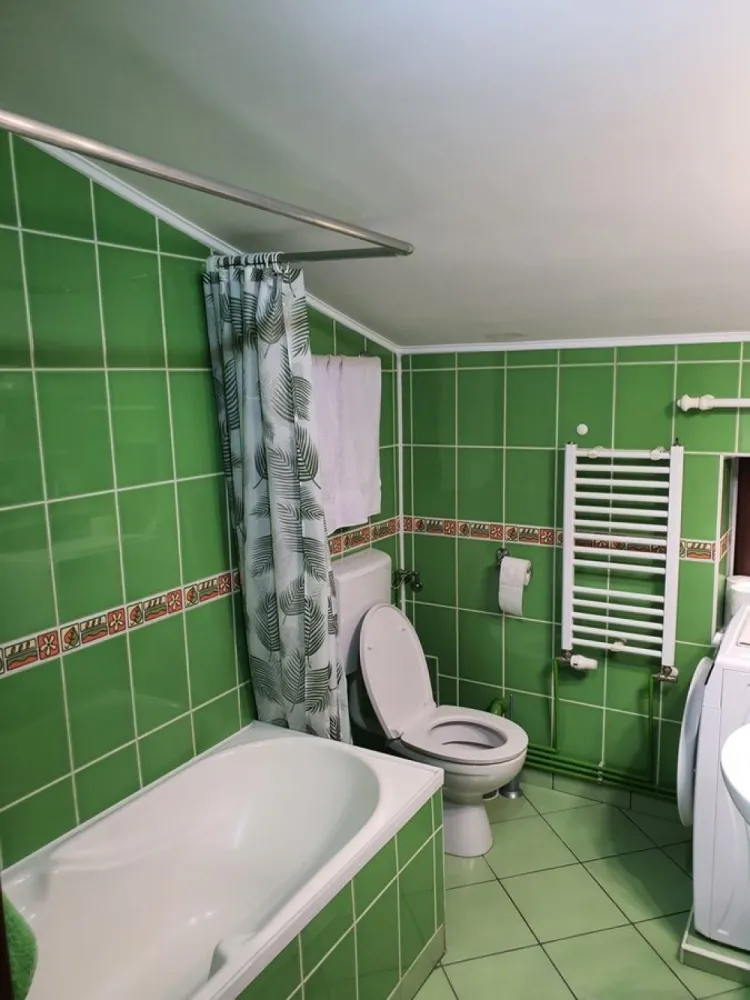 BRASADAS închiriază ap 2 cam la MANSARDA zona Dorobanti.