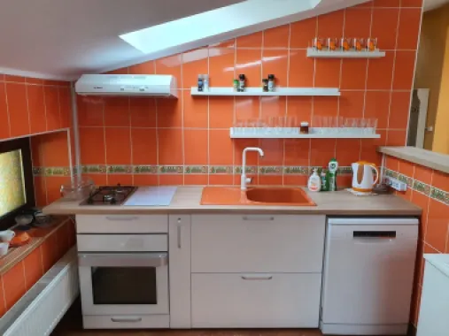 BRASADAS închiriază ap 2 cam la MANSARDA zona Dorobanti.