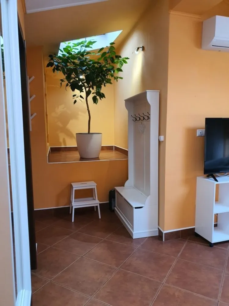 BRASADAS închiriază ap 2 cam la MANSARDA zona Dorobanti.