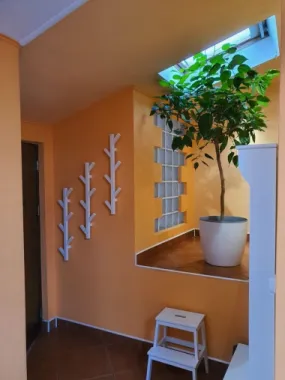 BRASADAS închiriază ap 2 cam la MANSARDA zona Dorobanti.