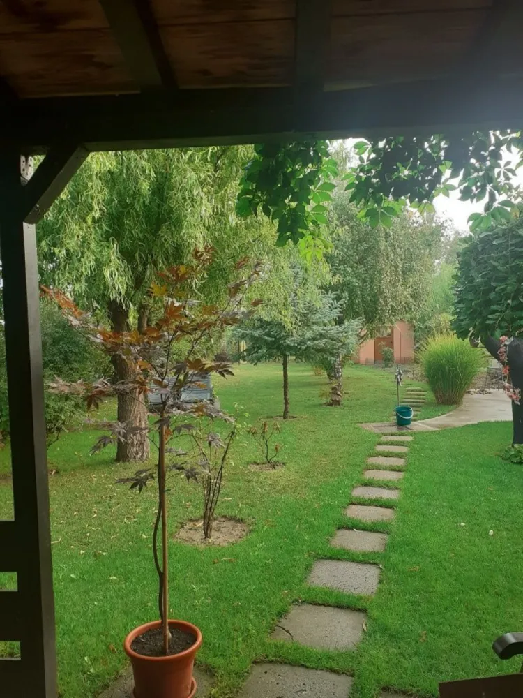 BRASADAS vinde casa cu 6 camere si teren 1200mp în Amati. - Agenția imobiliara BRASADAS vinde casă spațioasă și bine întreținută, situată la intrarea în localitatea Amati. Aceasta oferă un confort deosebit datorită spațiilor generoase și a dotărilor moderne. Caracteristici: Suprafață utilă: 220 m2 Camere: 4 sau mai multe Compartimentare: Parter + Etaj Utilități: Centrală pe lemne, canalizare,apă Apaserv Mobilată partial Compartimentare: Living spațios Bucătărie utilată complet Dining generos 4 camere 2 băi Sală de sport Cameră pentru centrală Anexe: Garaj + spațiu de depozitare pentru lemne 50 m2 Teren: 13 ari total 7 ari livadă 6 ari curte O proprietate ideală pentru cei care își doresc liniștea unei zone retrase, dar cu acces facil către oraș. Casă este construita pentru a putea locuit doua familii. Pentru mai multe oferte accesați www.brasadas.com.