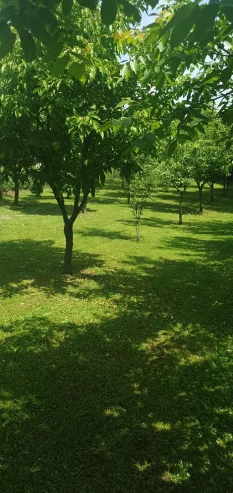 BRASADAS vinde casa cu 6 camere si teren 1200mp în Amati.