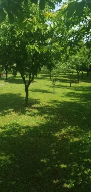 BRASADAS vinde casa cu 6 camere si teren 1200mp în Amati.