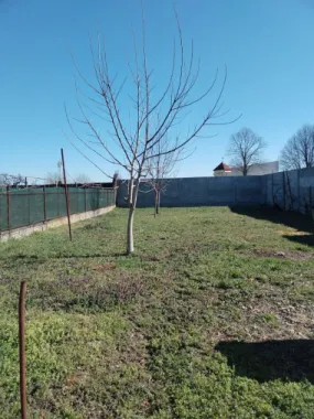 BRASADAS vinde casa cu etaj in zona Paulestiului.