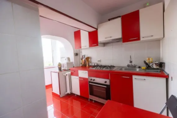 BRASADAS închiriază ap 2 cam Bd. Unirii, complet mobilat si utilat
