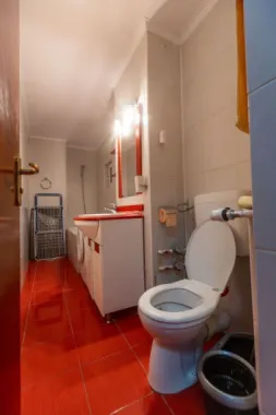 BRASADAS închiriază ap 2 cam Bd. Unirii, complet mobilat si utilat