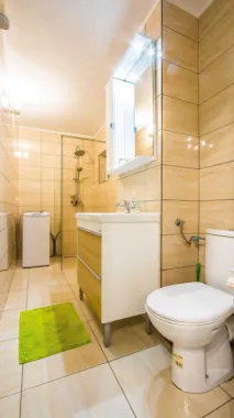 BRASADAS închiriază Ap 2 cam Et 2/10 B-dul Unirii.