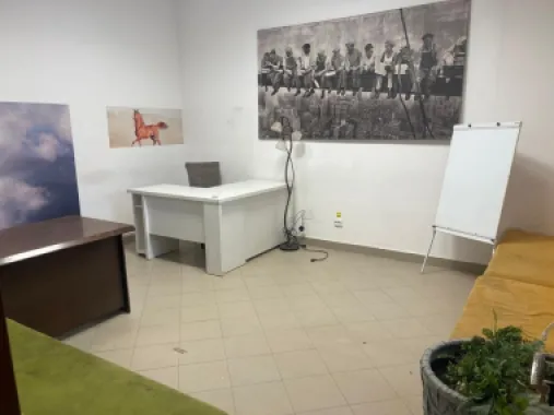 BRASADAS vinde ap Titulescu 100 mp + curte privată birou