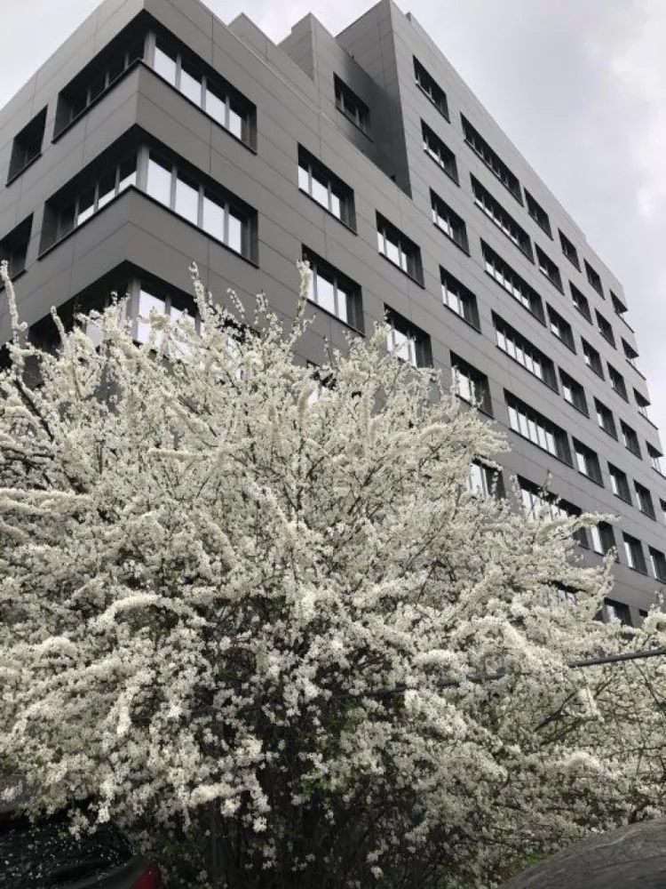 Spatiu comercial si birouri intersectie Timpuri Noi, suprafata 250mp+terasa, - Cladire 8 etaje, noua, in 2023 finisata pentru inchiriere/ Spatiu comercial sau de birouri la parter. Spatiu de inchiriat parter interior 250mp util iar pretul include si terasa exterioara de 150mp cu pretul negociabil si acces separat spre strada principala Contorizare separata parter Spatii pe etaj cuprinse intre 200mp si 370mp la fiecare etaj .