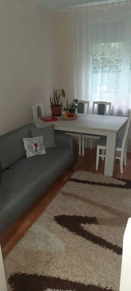 Ag BRASADAS vinde apt 3 camere Carpati 1 PARTER. - Agenția BRASADAS vinde apartament compus din 3 camere, (2 dormitoare si un living) situat pe aleea Postavaru, zona Carpați 1. Baie, bucatarie, balcon ingradit, gradina , loc de parcare rezervat . Finisat în totalitate! Conducte noi! Instalații electrice schimbate! În totalitate finisat în 2022! De la A la Z finisat si schimbat Se vinde cu mobila de bucatarie, hota ! Piatră decorativă în camera mare si pe hol Dormitoarele mobilate Oglindă cu dulap pe hol și cuier nou făcut special! Microcentrala! Geamuri termopane noi cu jaluzele si plasă de insecte Balcon de 3mp cu incalzire, geam termopan Debara nou! În apropierea blocului: școală, grădiniță, supermarket, restaurant, stație bus/taxi, centru de permanenta / laborator de analize medicale,etc