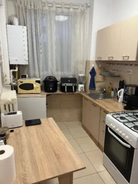 Apartament 3 camere Gradina Icoanei