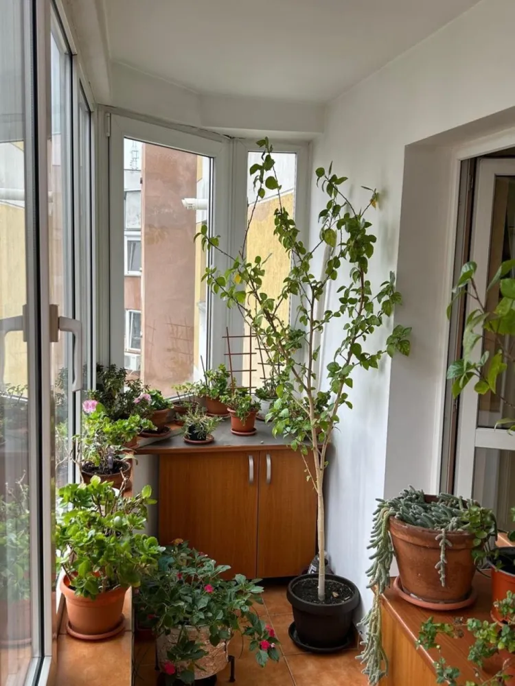 Apartament de vânzare str. Nerva Traian lângă școala 81