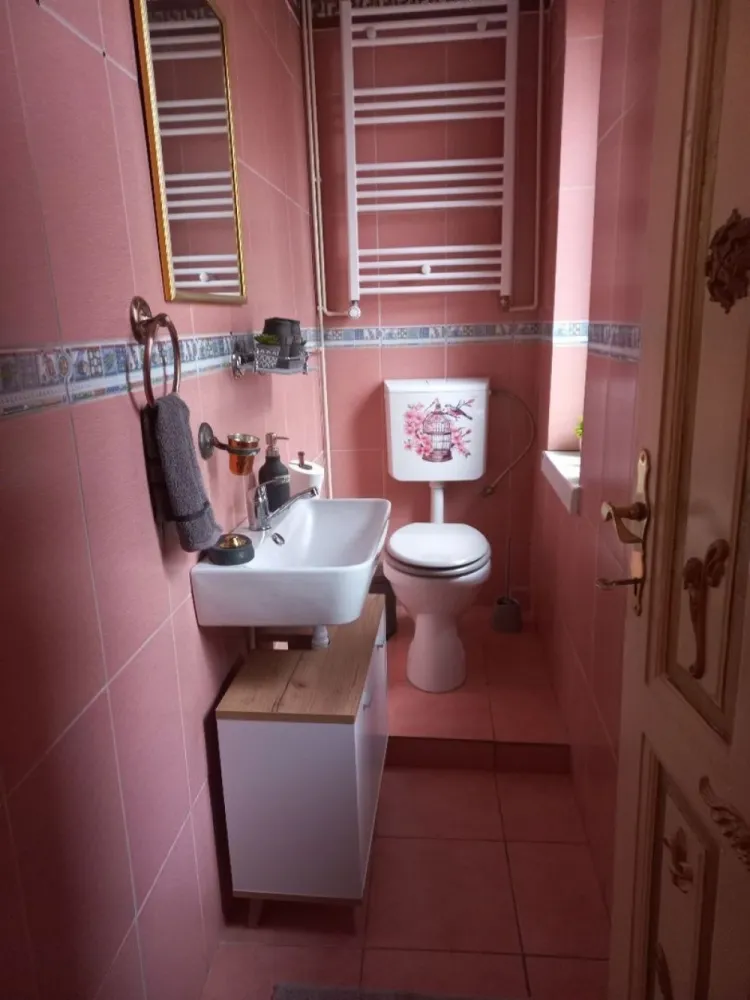 Apartament in vila Gradina Icoanei - Proprietar,apartament in vilă 4+ camere,etaj1 și mansardă din D,P,1,mansardă, 2 proprietari în total, întrare separată, renovat și mobilat, utilat nou neutilizat, suprafață utila 170 m.p .Etaj 1-4 camere și 2 bai (105 m.p),mansarda - cameră, bucătărie și baie (65 m.p),scara interioara.