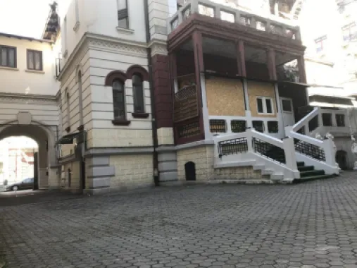 Ag BRASADAS vinde villa cu 20 camere Pta ROMANA.