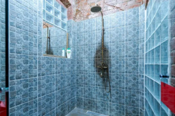 Ag BRASADAS vinde villa cu 20 camere Pta ROMANA.