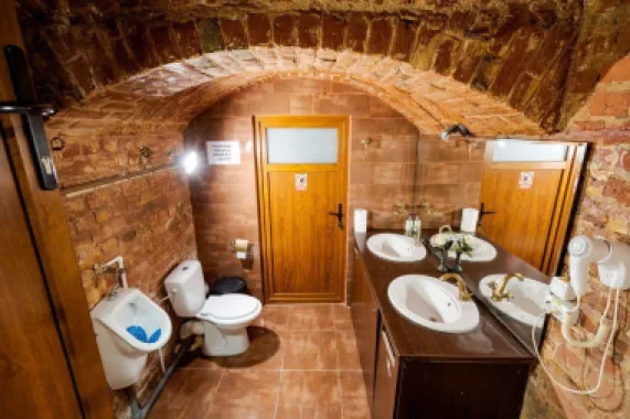 Ag BRASADAS vinde villa cu 20 camere Pta ROMANA.