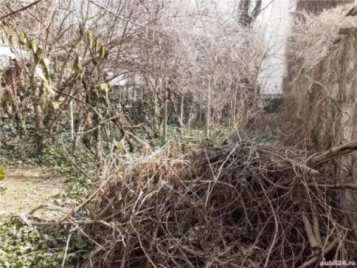 Casa zona Dacia Toamnei