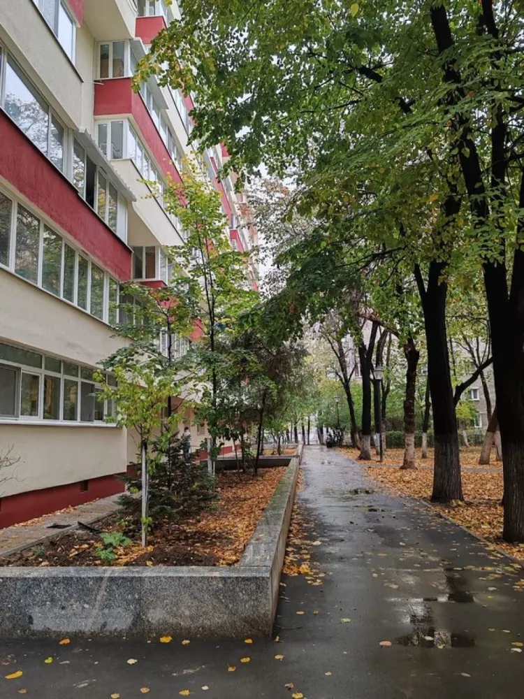 Brancoveanu - Oraselul Copiilor