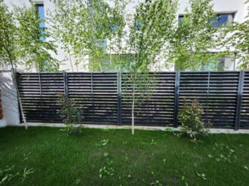 Case de vanzare Bucurestii Noi Straulesti