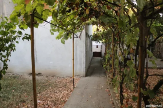 Vand casă cu teren.