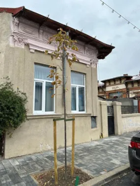 propietar