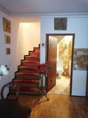 COTROCENI - Cuibușorul de nebunii al pictorului Zamfir DUMITRESCU