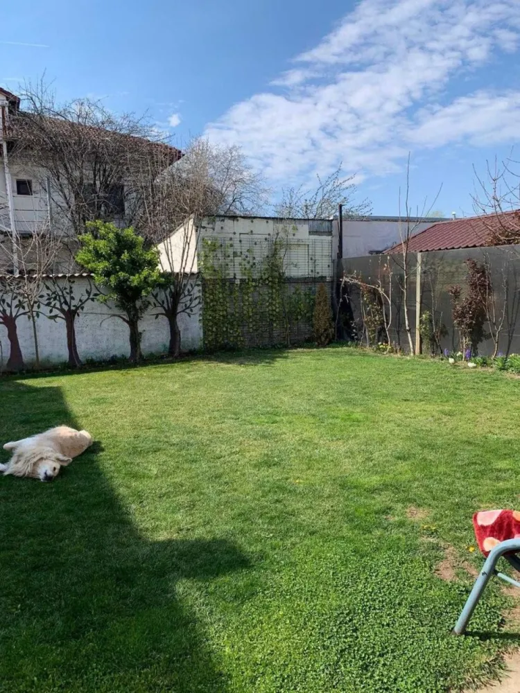 Vand casa curte + teren + SPATIU COMERCIAL - Direct proprietar, vând casa la curte + spațiu comercial, situate pe Șos Chitilei, front stradal spațiu 12.5 ml. Spațiul comercial 73 m2, face parte din casa cu ieșire directa la strada, închiriat în prezent cu 700 euro/luna. Casă S+P+M + curte 450. S: 35m2 P+M: 180 mp CURTE LIBERA : 248 mp MAGAZIE INCHISA: 16 mp Proprietatea dispune de toate utilitățile: canalizare,apa curenta, gaze,centrala termica,puț apa. Se vinde complet mobilat și utilat, electrocasnice, mobila lemn masiv. Renovata în anul 2021.