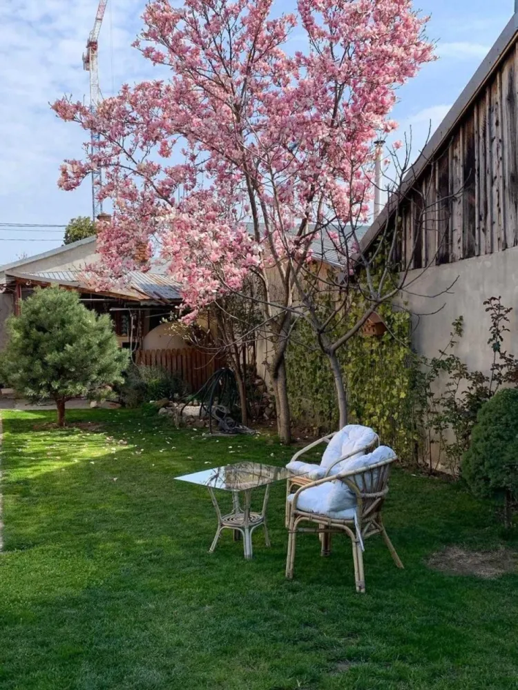 Vand casa curte + teren + SPATIU COMERCIAL - Direct proprietar, vând casa la curte + spațiu comercial, situate pe Șos Chitilei, front stradal spațiu 12.5 ml. Spațiul comercial 73 m2, face parte din casa cu ieșire directa la strada, închiriat în prezent cu 700 euro/luna. Casă S+P+M + curte 450. S: 35m2 P+M: 180 mp CURTE LIBERA : 248 mp MAGAZIE INCHISA: 16 mp Proprietatea dispune de toate utilitățile: canalizare,apa curenta, gaze,centrala termica,puț apa. Se vinde complet mobilat și utilat, electrocasnice, mobila lemn masiv. Renovata în anul 2021.