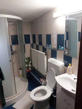 Casă de vanzare București