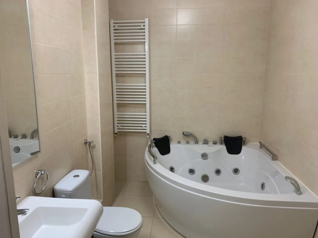 Apartament luminos cu gradina Sos Nordului Parc Herastrau